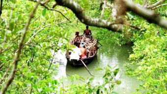 সুন্দরবনে ৭ লাখ টাকা মুক্তিপণ দিয়ে বাড়ি ফিরল ১১ জেলে