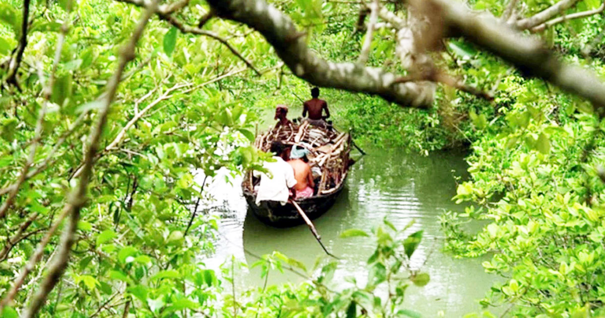 সুন্দরবনে ৭ লাখ টাকা মুক্তিপণ দিয়ে বাড়ি ফিরল ১১ জেলে