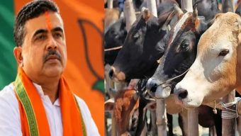 কোরবানির আগে পশু কিনছেন না মুসলিমরা : গরু বিক্রি নিয়ে পশ্চিমবঙ্গে হাহাকার, শিগগিরই সিদ্ধান্ত নেবেন শুভেন্দু