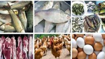 গরিবের জন্য মাছ-মাংস-ডিম অধরা