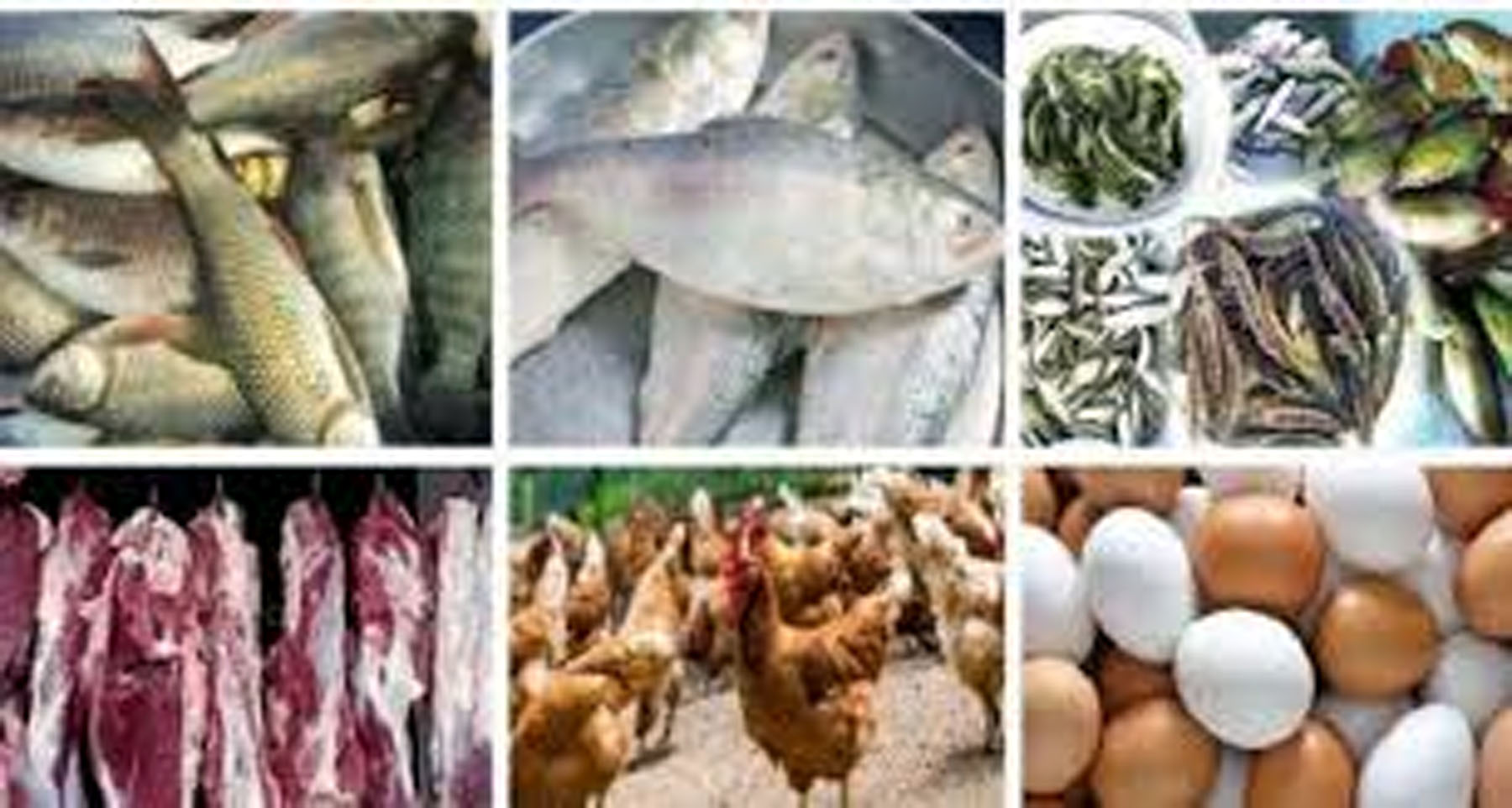 গরিবের জন্য মাছ-মাংস-ডিম অধরা
