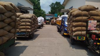 নড়াইলে সরকারি খাদ্য গুদামে ধান বিক্রি শুরু কৃষকদের