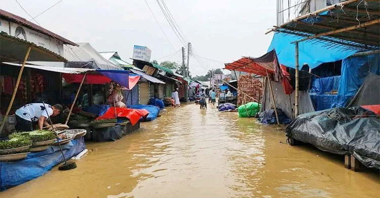 শেরপুরে তিন নদীর পানি বিপৎসীমার ওপরে